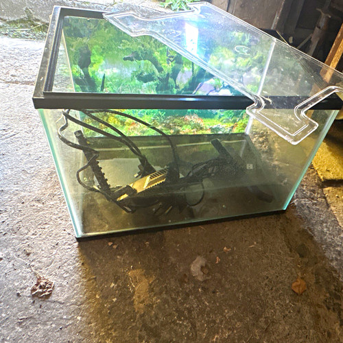 30l glass freshwater - glass, aquarium