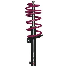 Vogtland Club Lowering