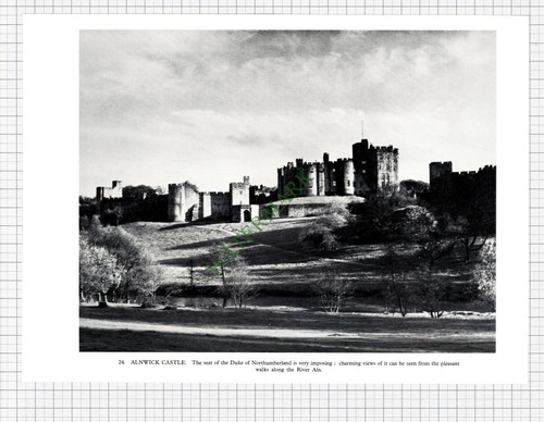 9322 alnwick castle - castle,