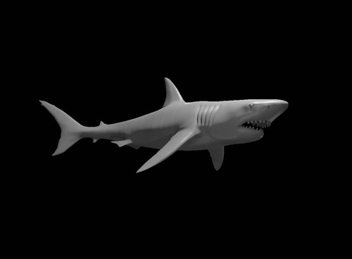 Giant shark for dungeons - giant, d&d