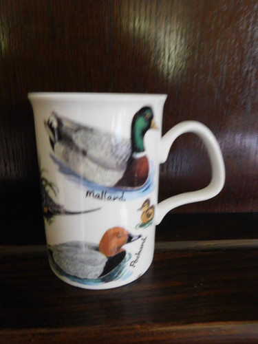 Roy kirkham 2008 ducks - roy,