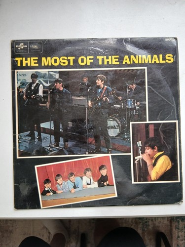 The animals most - -,