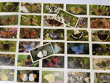 JOHN PLAYER & SONS PLAYERS