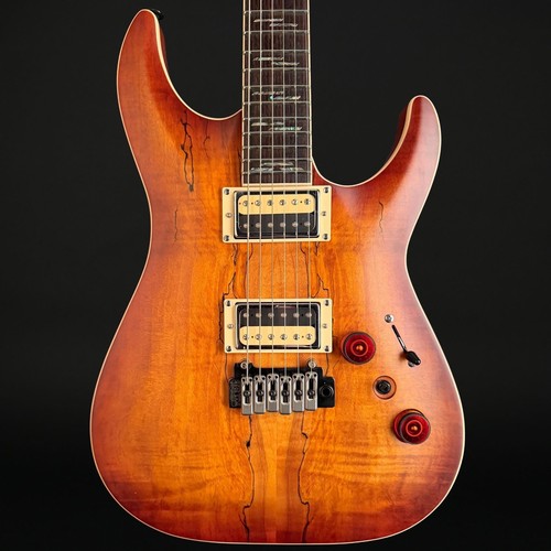 Schecter exotic spalted - schecter,