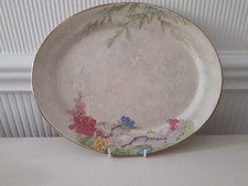 Rare burslem moorland - rare,