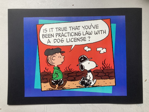 Super snoopy and the - snoopy,