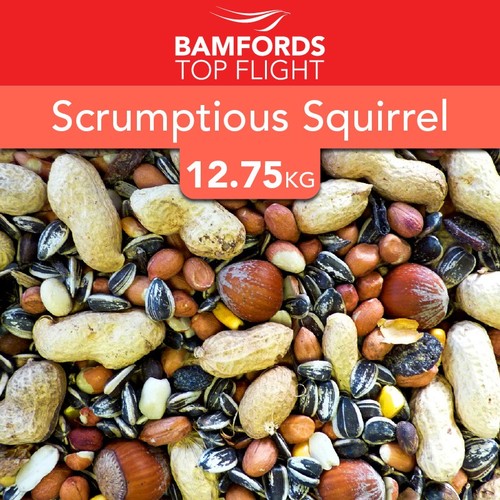 Bamfords squirrel food mix - bamfords,