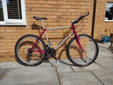 Raleigh Dynatech Titanium Mountain Bike, 26 Inch Wheels, Late 1990's