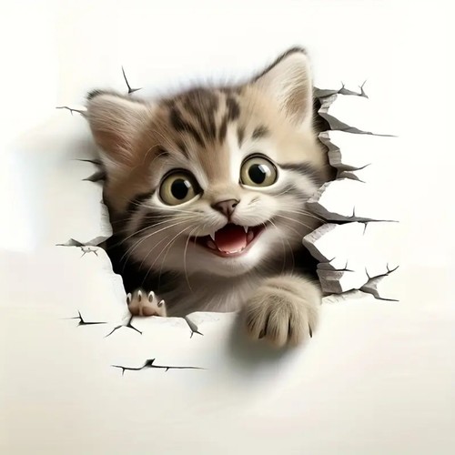 Large peeking kitten sticker - large,