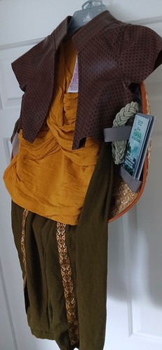 Kids disney costume raya - disney, last