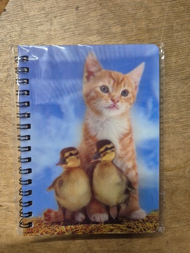 Ginger kitten notebook ginger