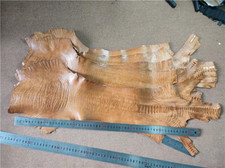 100% Genuine Ostrich Leather