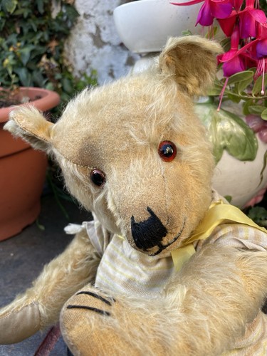 Teddy bear old antique - teddy,