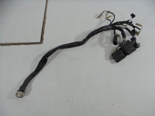 Ducati 998 996 - , oem