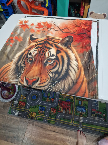 Tiger animal print - tiger,