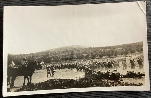 Royal sussex regiment ww1 - sussex,
