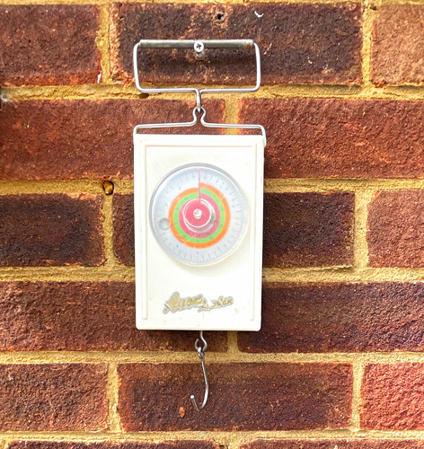 Avon analogue hanging - avon, fish