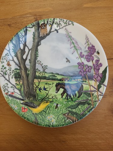 Wedgwood collectors plate - collectors,