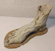 Unusual Foot Sculpture Foot Body part