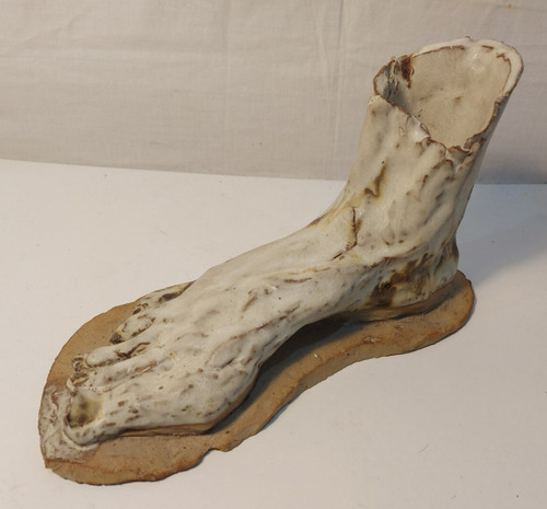 Unusual foot sculpture - foot,