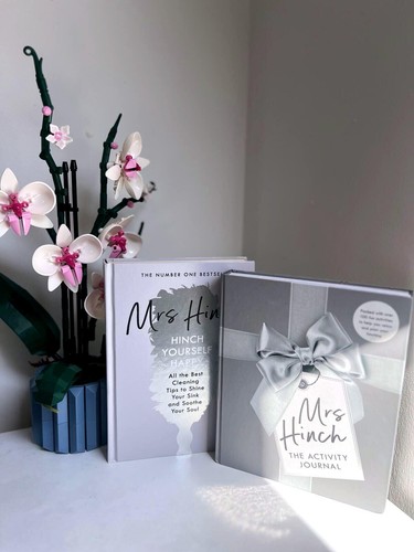 Mrs hinch book and activity - book,