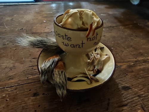 Squirrel egg cup - aller, vale