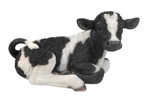 Black cow lying - black,