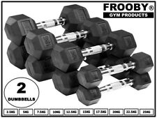 Hex Dumbbells Set Pair Ergo Iron Hand Weights Rubber Encased Hexagonal Gym 36-6