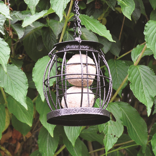 Mini caged bird feeder - feeder, suet
