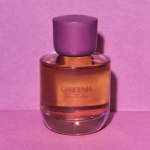 Zara gardenia bloom - zara,