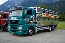 Truck Photo MAN TGS Animal