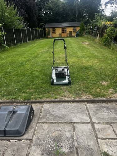 Hayter harrier lawn - 56,