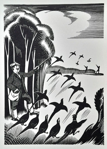 Webb pheasant shoot gamebirds - webb,