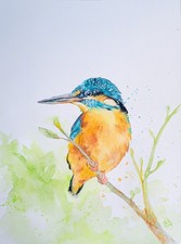 Original Kingfisher Watercolor