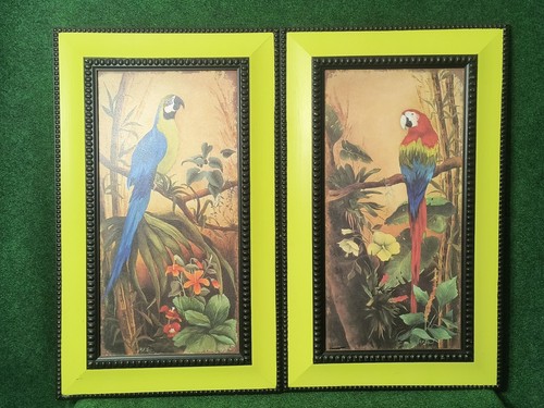 Lot framed exotic - 2, birds