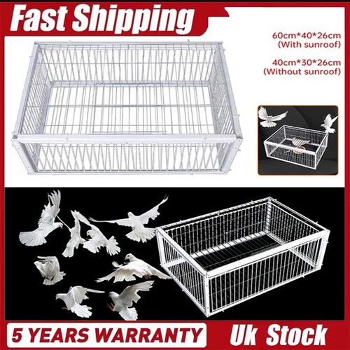 Pigeon trap cage - trap,