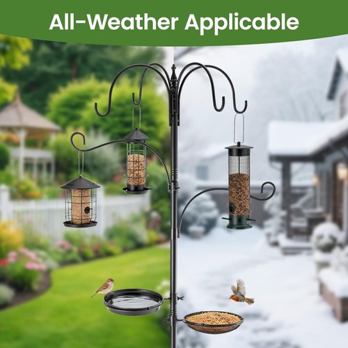 Bird feeders hanging - bird,