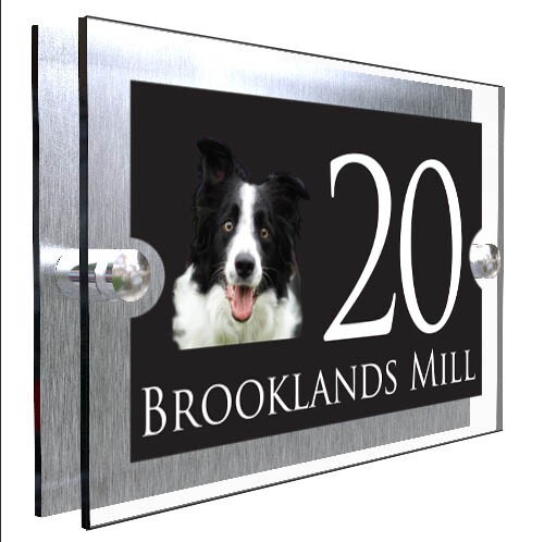 Contemporary dog personalised - contemporary,