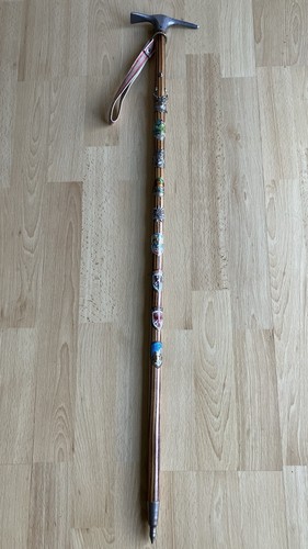 Vintage austrian walking stick - vintage,