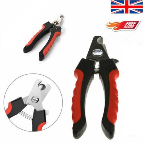 Large small pet nail - nail, clippers
