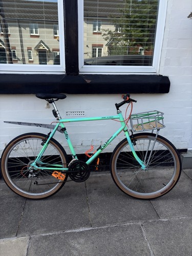 90s raleigh lizard - raleigh, terrain