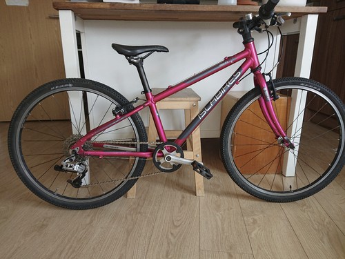 Pink ilsabike beinn inch - pink, 24