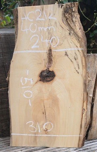 Spalted chestnut live edge - spalted,