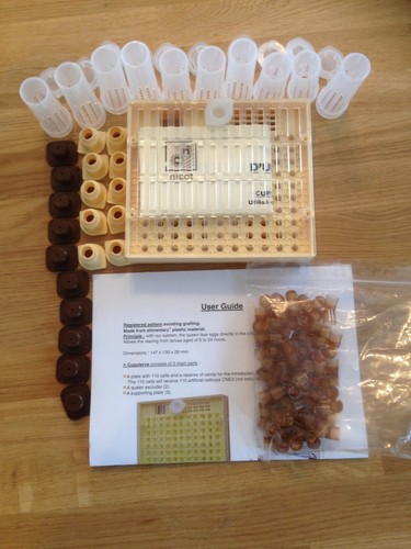 Nicot queen rearing system - queen,