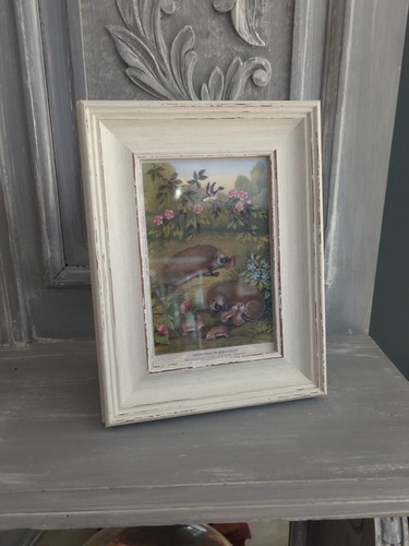 Kitchen hedgehogs antique - hedgehogs,