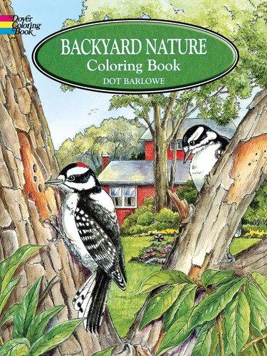 Backyard nature colouring - nature,