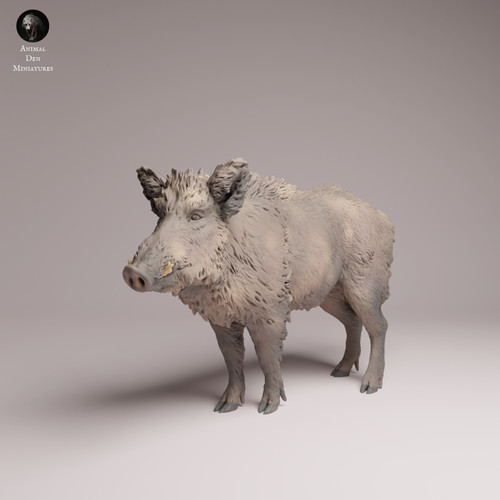 Wild boar resin printed - resin,