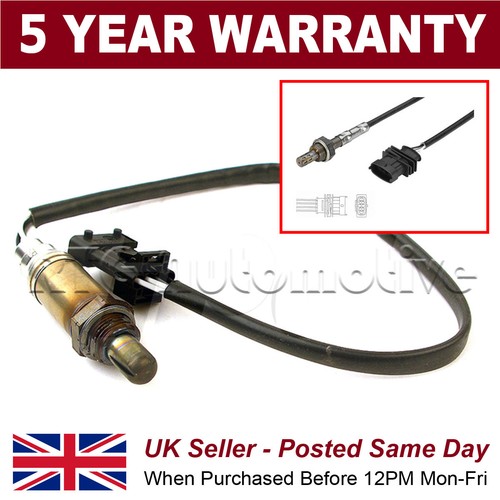 Front wire oxygen - oxygen, o2