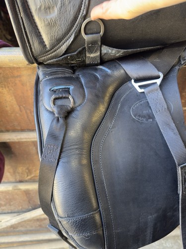 Kent and masters dressage - and,