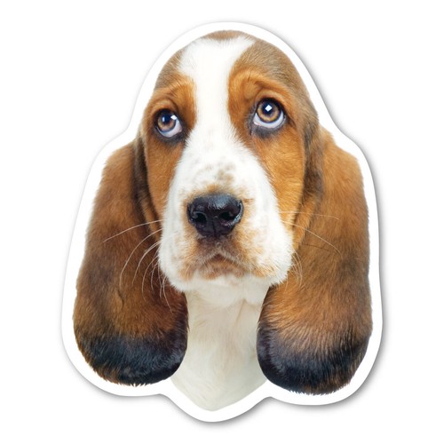 Basset hound magnet - basset,